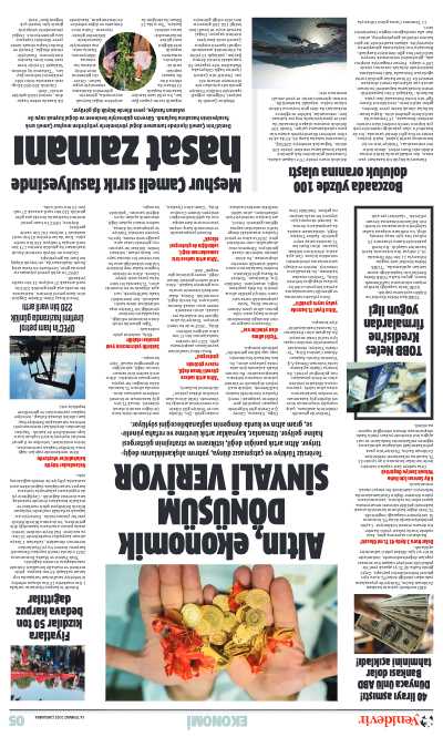 Sayfa Önizleme