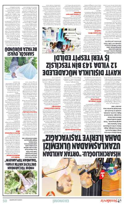 Sayfa Önizleme
