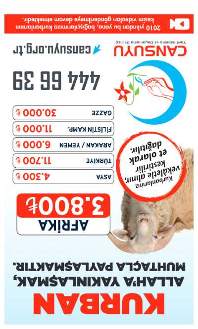 Sayfa Önizleme